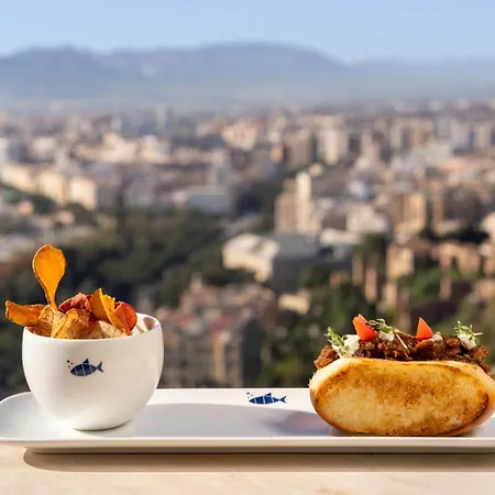 Otel De Gibralfaro